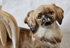 Augarten Austria Pekingese Dog Figurine Tibetan Spaniel