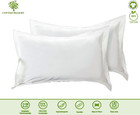Cotton Delight King Pillow Shams Set Of 2 - White 100  Natural Cotton  600 Threa