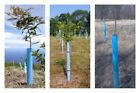 Blue-x Grow Tubes  24    Grow Tube Box Of 50