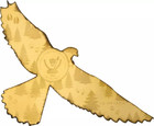 2025 Congo  999 Gold Coin Falcon Bird Unusual Shaped Colored Proof Wildlife Wwf