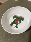 Vintage Peter Pan Ninja Turtles Plate Bowl Cup Set 1989 Tmnt Melamine  new Rare 