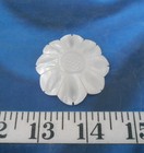   Mother-of-pearl Seashell   Carved Flower   1 75    Polished   Natural White  