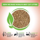 World s Best Cat Litter  Multiple Cat  Unscented  Odor Control  15 Lb Bag