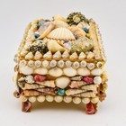 Victorian Era French Shellwork Jewelry Coffin Box Dyed Shells Sailor s Valentine