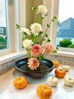 Stainless Floral Frogs Kenzan  Round Metal Flower Frog Vase Arranger Pin Holder 