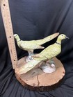 Vintage Mid-century Italian Majolica Ceramic Ring-necked Dove Figurines     Pair
