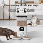 Automatic Cat Feeder For Two Cats  Double Pet Feeder With 2 Stainless Steel Bowl