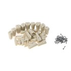 Columbia Dentoform 860 Dental Typodont 32pcs Teeth  Replacement Removable