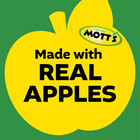 Mott s Cinnamon Applesauce  4 Ounce Cups  18 Count
