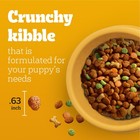 Pedigree Complete Nutrition Puppy Dry Dog Food