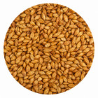 Briess Briess Aromatic Munich Malt 1 Lb