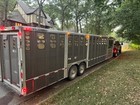 2021 Wilson Cattle Trailer