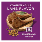  2pack  Purina Dog Chow Complete Dry Food For Adult Dogs High Protein  Lamb 44lb