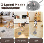 Remote Control Cat Toy Rechargeable Cat Mouse Toy Automatic Interactive Cat Toys