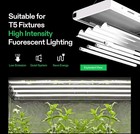 Vivosun T5 Grow Light Bulbs 2 Ft 22 Inches  24w 6500k Ho Fluorescent Tubes Light