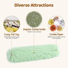 Organic Catnip Toys   Fresh   Cats Kitten 100  Premium Treat  3 Pcs