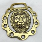 Brass Horse Medallion Antique English Lion 3d Head Jungle King Cat Peerage Show