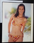 Indian Beauties Tulip Joshi  Indian Actress Press Photographs  9 