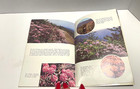 Vintage The Great Smoky Mountains National Park Booklet 1966 W m  Cline Co 