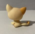 Littlest Pet Shop Hasbro  1521 Yellow Orange Shorthair Sitting Cat Lps Authentic