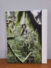 System Supplement Juergen Teller Issue 9 2017 Raquel Zimmerman Unread Newsstand