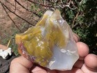       rr     Anasazi Coring Material  Arizona Rainbow Petrified Wood  10 7 Oz      