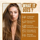 Batana Oil Shampoo   Conditioner Set 16 Oz Each Biotin Tea Tree Sulfate Free