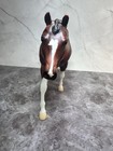 Breyer Traditional Bugaboo  10014 Model Horse 2024 Tsc Exclusive Roxy Mold