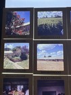 19-vintage Ektachrome Slides Kenya East Africa Nairobi Markets Hotels Culture