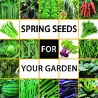 22 Variety Vegetable Seeds Pack 15000  Non-gmo High Yield Garden Kit
