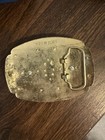 Real Dead Scorpion Brass Belt Buckle Encased In Resin Vintage  Usa         