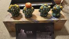 Lucky Charm     Set Of 4 Pixiu  hiky    Figures Supervised By Dehua