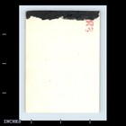 Old Vintage Photo Men Women Sitting In Park