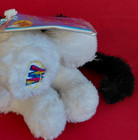 Webkinz Lil Kinz Black   White Cat - Hs016 - New W  Sealed Unused Code - Retired