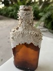 Antique Shipwreck Bottles Barnacle Bottle Vintage Glass 