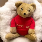 Dan Dee Love Me 19    Teddy Bear Avon Plush Toy Stuffed Animal Red Shirt 1977 Rare
