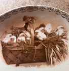 Vntg Silver Cliff Colorado Merchant Advertising Plate John Figge  C1920 Chicks