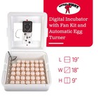 Little Giant 11300 Deluxe Digital Incubator With Fan And Automatic Egg Turner