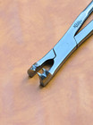 Four Prong Pony Equine Dental Forceps 15 