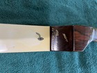 Hoyt Pro Medalist Pm5 Vintage Recurve Bow Rh 66  Amo 25  Got Shoulder Issues  