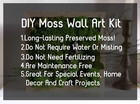Preserved Reindeer Moss Natural Green Diy Kit Gardenning Art Wall Decor Florist