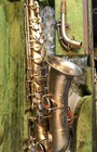 Alto Sax Vintage Buescher  1924 Tru-tone  Gold Satin Finish   2 Mouthpieces