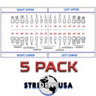 Crown Prep Ivorine Teeth For Typodont 200 - 5 Or 10 Pack Compatible W Nissin