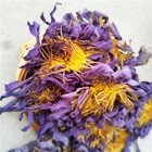 Egyptian Blue Lotus Nymphaea Caerulea Organic Pure Hand Picked Flowers Herbal