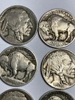 1913  p   Type 1 Buffalo Nickel Roll  40 Coins   G vg Condition Nice Coins