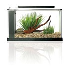 Fluval Spec Aquarium Kit  Aquarium With Led Lighting And 3-stage Filtration