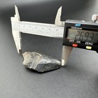 Megalodon Shark Tooth Fossil No Repair Natural2 69  Huge Beautiful Tooth    