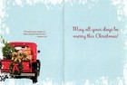 Christmas Holiday Greeting Card  Puppies 