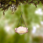 New Decorative Floral Hanging Glass Bird Bath Feeder Flower Petal Design 7 In 