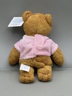 Avon Breast Cancer Crusade Teddy Bear Plush Pink Shirt Stuffed Animal 2001